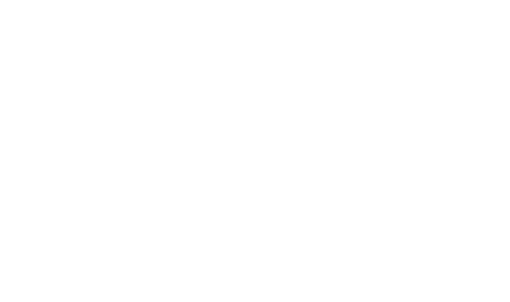 Feral Bikes Logo
